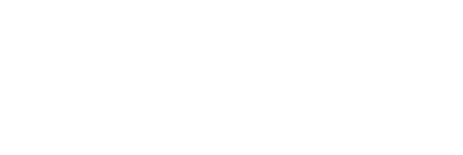 Infocust Logo